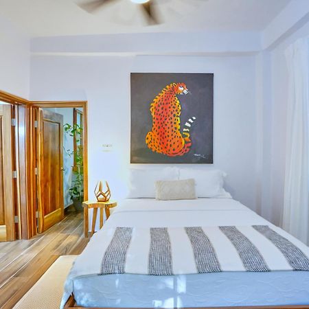 Villa Massis Luxury Villas San Ignacio Bagian luar foto