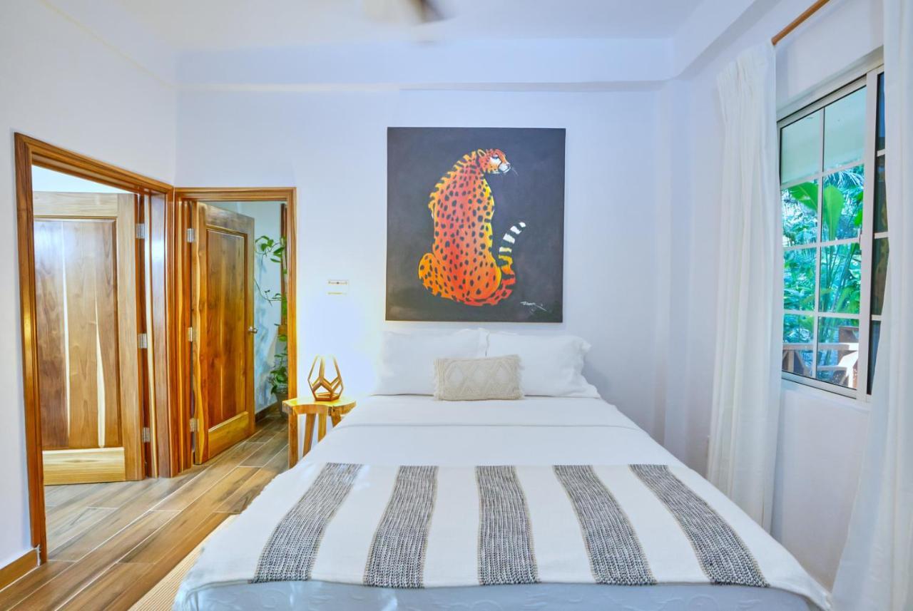 Villa Massis Luxury Villas San Ignacio Bagian luar foto