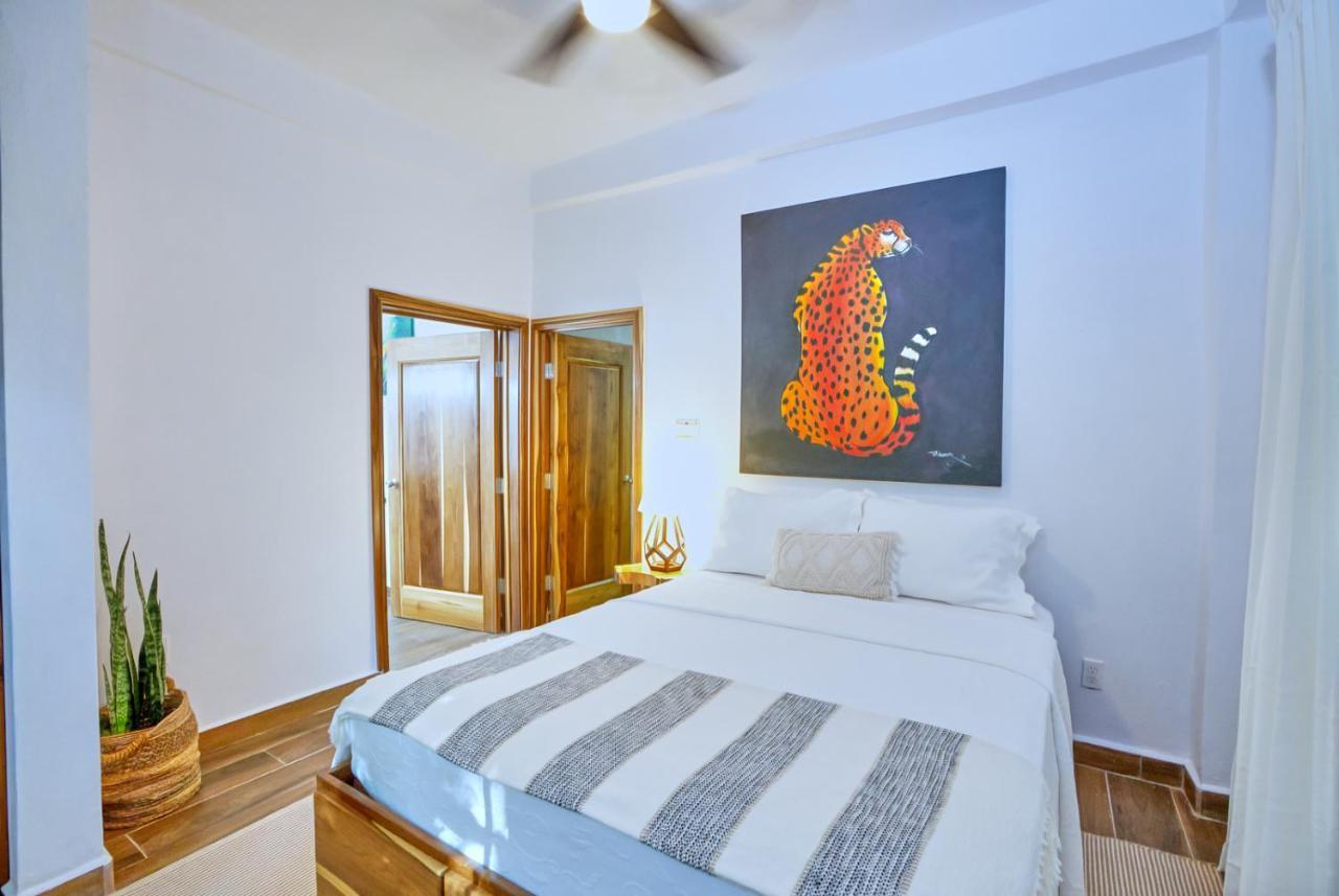 Villa Massis Luxury Villas San Ignacio Bagian luar foto
